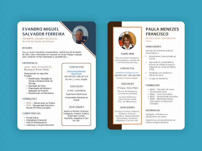Construção de um Currículo Profissional